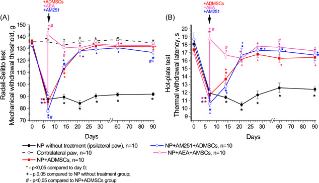 Impact of pharmacological modulation of CB1 receptors in the soft tissues surrounding the site of sciatic nerve injury on nociceptive responses to mechanical (A) and thermal (B) stimuli in rats with neuropathic pain (NP). The arrow indicates the time of transplantation of ADMSCs. Data were assessed by repeated measures ANOVA with post hoc comparisons using the lowest significant differences method. [Color figure can be viewed at wileyonlinelibrary.com]