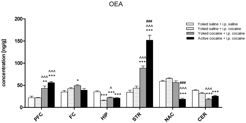 Levels of oleoylethanolamide (OEA) in brain structures in rats previously self-administered cocaine (14 days) (Active cocaine) or which passively received cocaine (Yoked cocaine) or saline (Yoked saline) and underwent extinction training (10 days) and drug-induced reinstatement (10 mg/kg cocaine i.p. or saline i.p.). N = 7–8 rats/group. All data are expressed as the means ± SEM. * p < 0.05, ** p < 0.01, *** p < 0.001 vs. Yoked saline + saline i.p.; ^ p < 0.05, ^^ p < 0.01, ^^^ p < 0.001 vs. Yoked saline + cocaine i.p.; # p < 0.05, ## p < 0.01, ### p < 0.001 vs. Yoked cocaine + cocaine i.p. A description of the abbreviations has been placed under Figure 2.