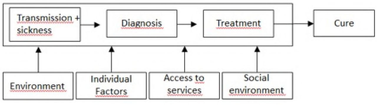 Model of analysis for the cure of tuberculosis a.a To cure tuberculosis, an individual with the disease must have been diagnosed and treatment performed. The environment, individual factors, access to health services and social condition (agglomeration, income, education, household conditions and demographic factors) of the individual influence the transmission, diagnosis and treatment of tuberculosis. Proper treatment results in the cure of tuberculosis.