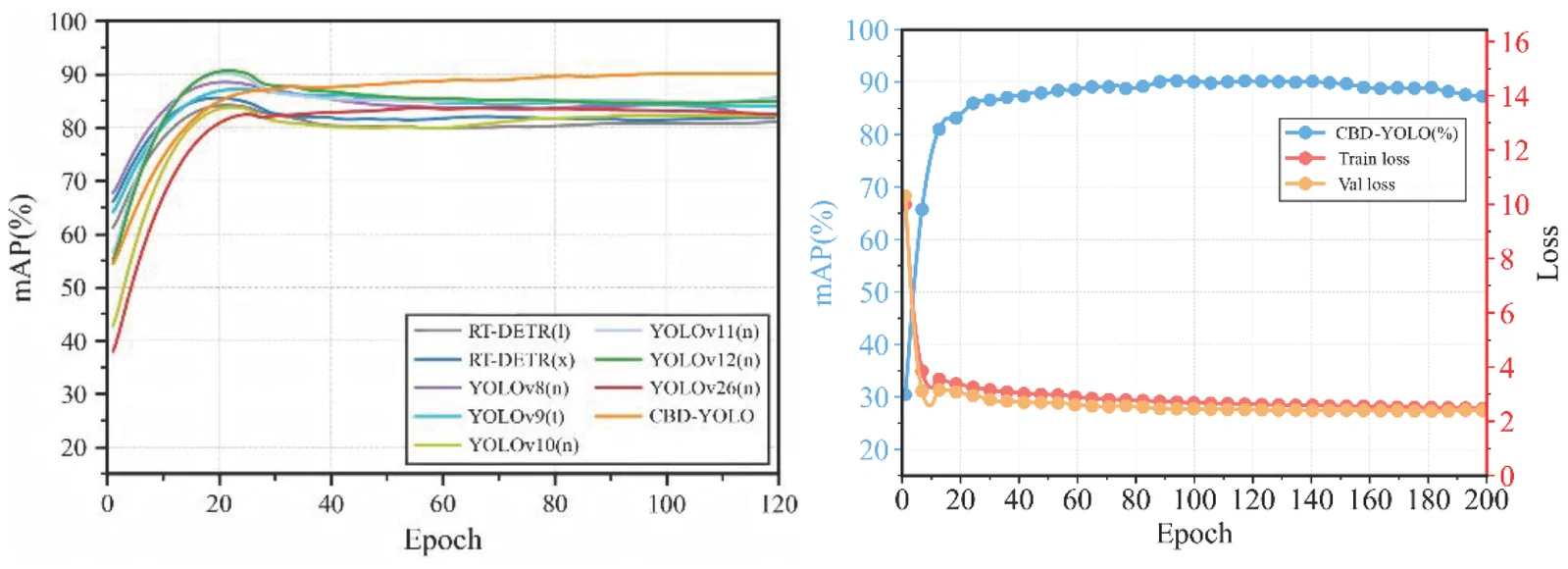 Left panel: Line plot comparing mAP percentage over 120 epochs for multiple object detection models, showing CBD-YOLO achieving the highest and most stable mAP. Right panel: Scatter plot displaying CBD-YOLO mAP percentage with blue dots and training and validation losses with red and orange dots, respectively, across 200 epochs, indicating that mAP rapidly increases and plateaus as both losses decrease and stabilize.