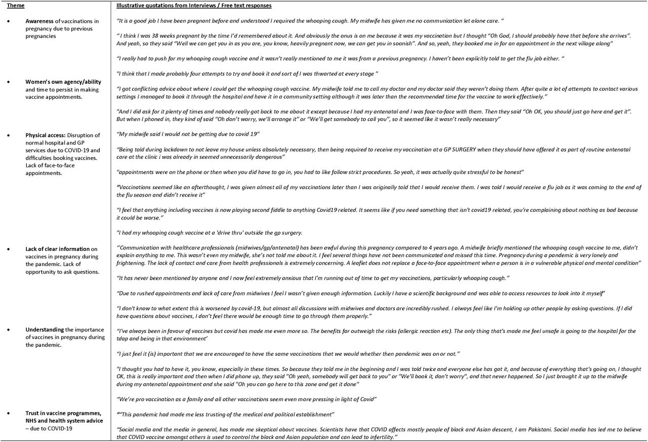 Interview and free text responses illustrating themes