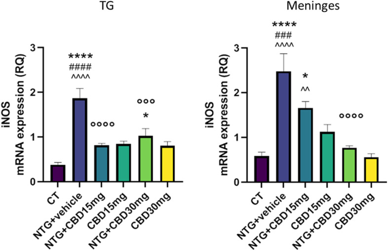 iNOS gene expression (expressed as relative quantification (RQ)) in TG ipsilateral to formalin injection and in meninges in the acute migraine model. Data were normally distributed and were analyzed using one-way ANOVA followed by Tukey's multiple comparisons test. *p < 0.05 and ****p < 0.0001 vs. CT; °°°p < 0.001 and °°°°p < 0.0001 vs. NTG; ###p < 0.001 and ####p < 0.0001 vs. CBD 15 mg; ^^p < 0.01 and ^^^^p < 0.0001 vs. CBD 30 mg. Data are expressed as mean ± SEM, N = 7–8-per group