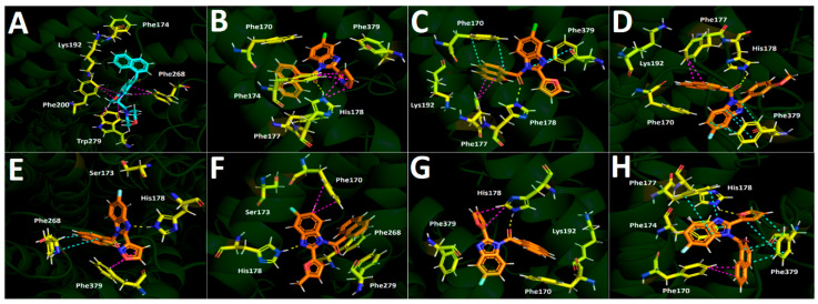 Predicted binding mode and predicted intermolecular interactions among the amino acids of the CB1 active site receptor and selected synthesized derivatives. Yellow dotted lines indicate hydrogen bond interactions, cyan dotted lines represent π-π interactions, and magenta dotted lines represent T-shaped interactions. (A) Aminoalkylindole WIN-55212-2. (B) Compound 4d. (C) Compound 4f. (D) Compound 5b. (E) Compound 5d. (F) Compound 5e. (G) Compound 5f. (H) Compound 5f′.