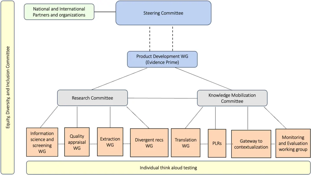 Structure of team and workflow for development and maintenance of the Chronic Pain RecMap.