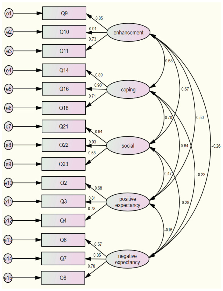Confirmatory factor analysis for the five-factor model.