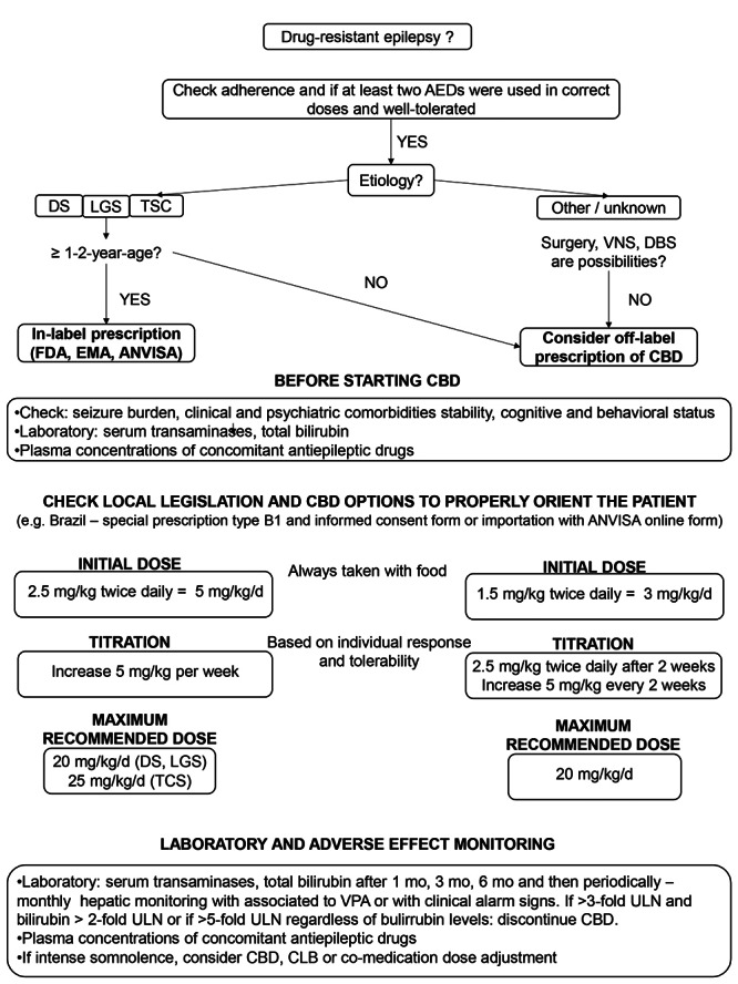 Algorithm for use of CBD in epilepsy.