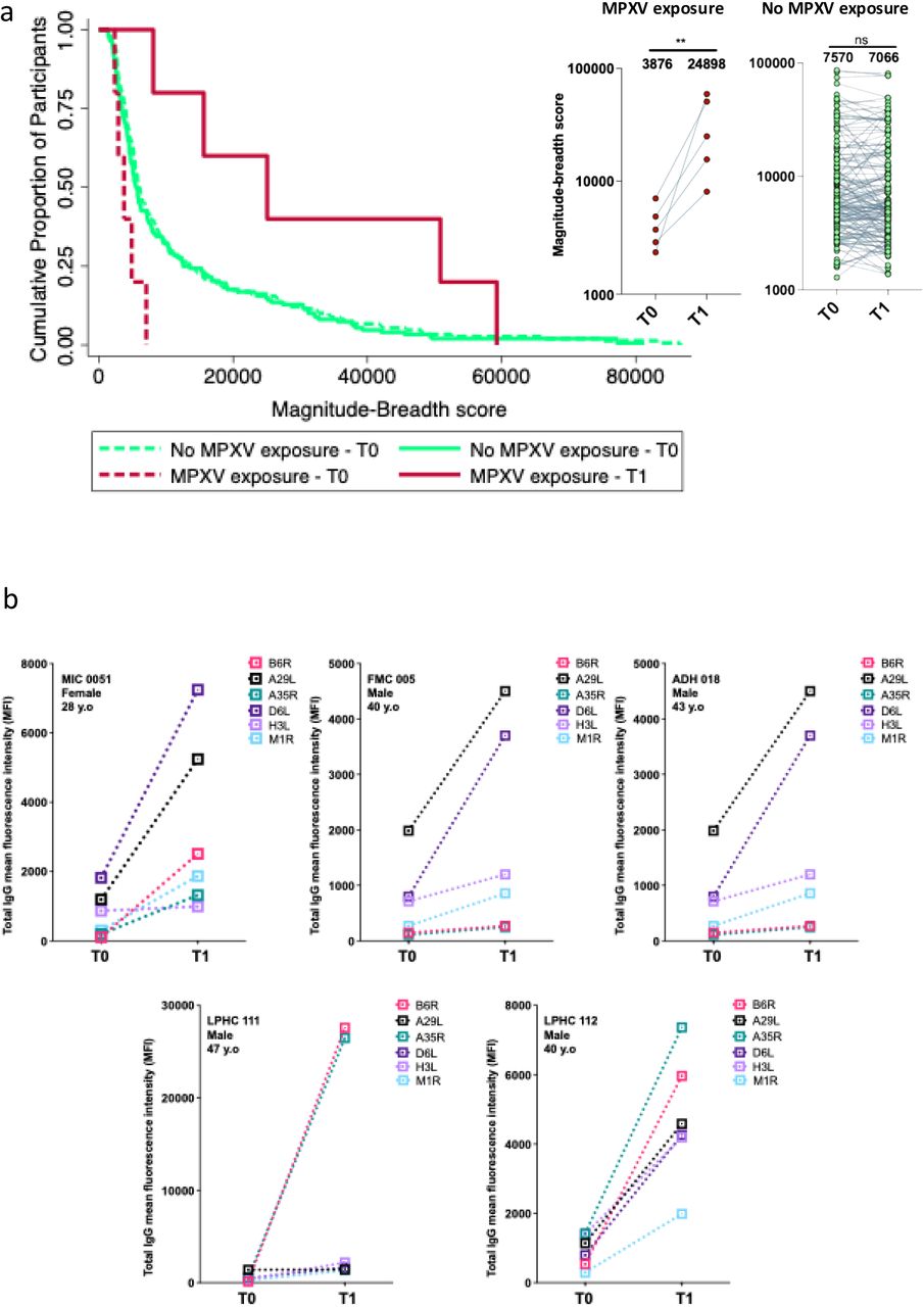 Evidence of MPXV exposure based on composite binding antibody responses.(a) Kaplan Meier curves showing magnitude-breadth score comparing participants with and without evidence of MPXV exposure, based on cumulative responses and antigen-specific boosting. (b) Paired magnitude-breadth scores from baseline (T0) and follow-up (T1) among individuals classified as exposed and unexposed to MPXV. (c) Antibody-specific fold changes in antibody responses across the six MPXV targets (A29L, A35R, B6R, D6L, H3L, M1R) for each exposed participant. Participants were classified as exposed if they demonstrated a >2-fold increase in total AUC between timepoints and ≥ 2-fold increases in ≥4 of the 6 antigens tested.
