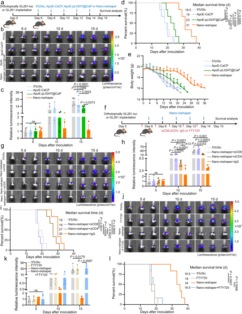 Nano-reshaper inhibited tumor growth and prolonged the survival of mice bearing intracranial GL261 GBM.a Orthotopic tumor implantation and treatment scheme for ApoE-CaCP, ApoE-pLIGHT@CaP and Nano-reshaper therapy. b Representative in vivo bioluminescence imaging of mice bearing intracranial GL261-luc GBM after treatment with ApoE-CaCP, ApoE-pLIGHT@CaP, or Nano-reshaper on days 6, 10, and 15 post tumor inoculation. c Semi-quantitative results of tumor burden by bioluminescence intensity shown in b (n = 5 mice). d Kaplan–Meier survival curve of intracranial GL261 GBM-bearing mice after various treatment (n = 6 mice). e Changes in the body weight of mice bearing intracranial GL261 GBM during the therapeutic period (n = 6 mice). f Scheme for CD4+ or CD8+ T-cell depletion and FTY720 administration. Mice were i.p. injected with αCD4 (10 mg/kg), αCD8 (10 mg/kg) or FTY720 (1.5 mg/kg) on days 5, 7, 9, 11, and 13 post tumor inoculation. g Representative in vivo bioluminescence imaging of mice bearing intracranial GL261-luc GBM after depletion of CD4+ or CD8+ T-cell for Nano-reshaper treatment. h Semi-quantitative results of tumor burden by bioluminescence intensity shown in g (n = 5 mice). i Kaplan–Meier survival curve of intracranial GL261 GBM-bearing mice in CD4+ or CD8+ T-cell depletion study (n = 6 mice). j Representative in vivo bioluminescence imaging of mice bearing intracranial GL261-luc GBM after reducing peripheral T cells by FTY720 for Nano-reshaper treatment. k Semi-quantitative results of tumor burden by bioluminescence intensity shown in j (n = 5 mice). l Kaplan–Meier survival curve of intracranial GL261 GBM-bearing mice in FTY720 administration study (n = 6 mice). Data were shown as mean ± SD. Error bars represent SD. Significant differences were evaluated in c, h, k using one-way ANOVA with Tukey multiple comparisons post-test, in d, i, l using Kaplan–Meier analysis with log-rank test. Source data are provided as a Source Data file.