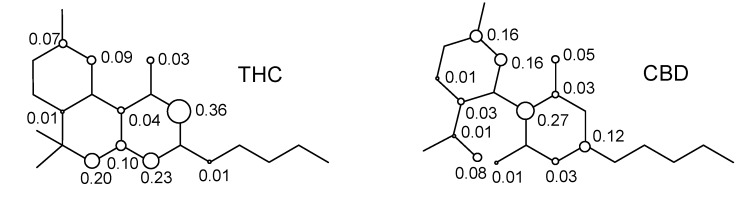 Spin densities in the cation free-radical of cannabinoid derivatives.