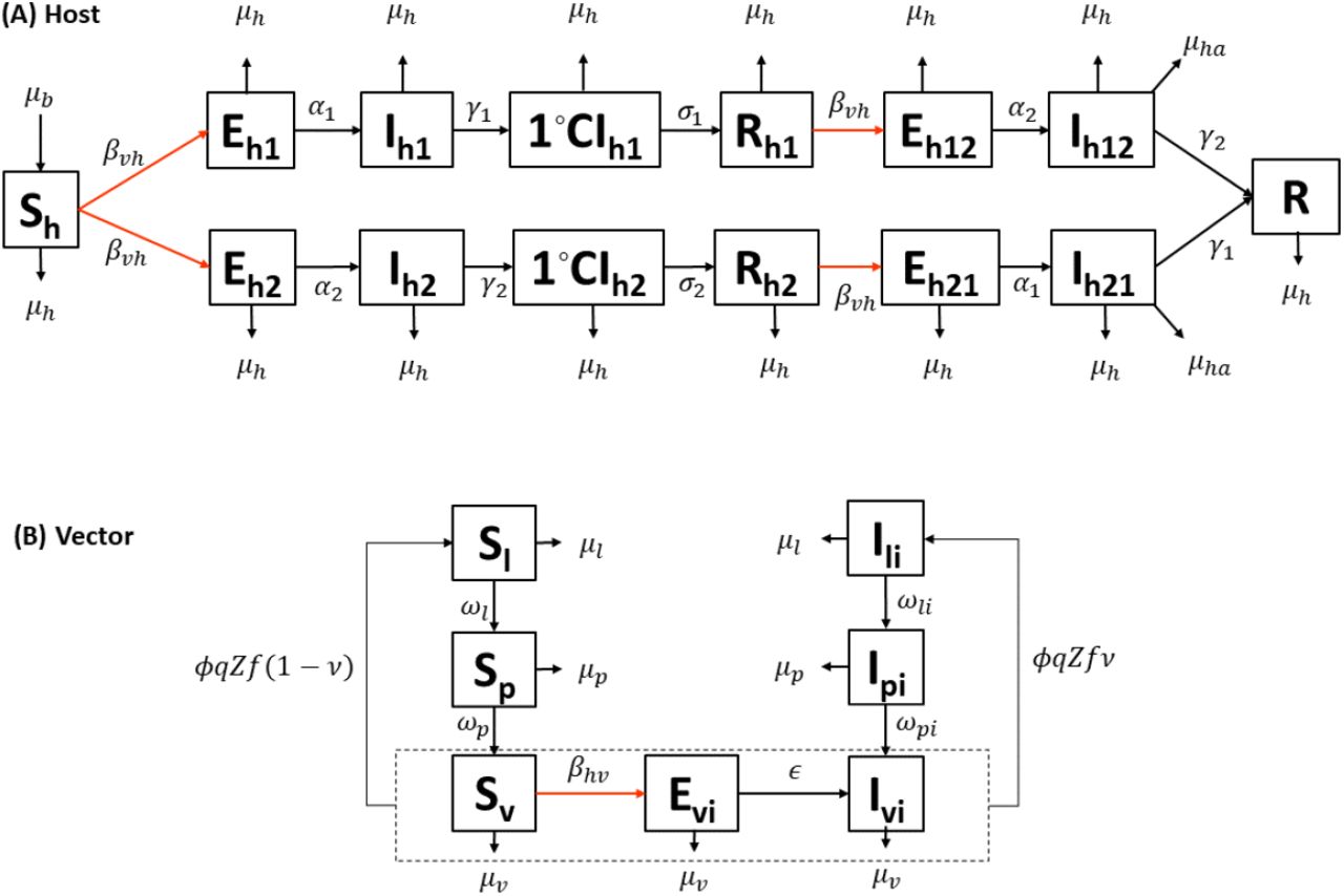 Epidemiological model framework.Two-serotype (i = 1, 2) dengue transmission model involving a human host population and a mosquito vector population; the human population is distributed between the susceptible (Sh), exposed to first or second serotype (Eh1 or Eh2), infectious with first or second serotype (Ih1 or Ih2), primary cross-immune to one serotype (1°CIh1 or 1°CIh2), recovered from one serotype (Rh1 or Rh2), exposed to the heterogenous second serotype (Eh12 or Eh21), infectious with second serotype (Ih12 or Ih21), and recovered from both serotypes (R) states (compartments); arrows indicate the direction individuals can move out of compartments and red arrows indicate virus transmission events; transitions between compartments are labelled with the corresponding rate parameters; immigration into and emigration out of the modelled human population are not shown but are included in the model (see Equations 1-8 in the main text); the mosquito larva population is distributed between the susceptible (Sl), and infectious (Il) states; the pupa populations is also distributed between the susceptible (Sp), and infectious (Ip) states; the adult mosquito population is distributed between the susceptible (Sv), exposed (Ev), and infectious (Iv) states.