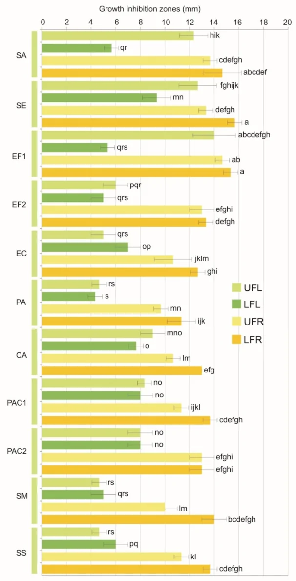 Zones of bacterial growth inhibition induced by the hemp essential oils. SA—S. aureus ATCC 25923, SE—S. epidermidis ATCC 12228, EF1—E. faecalis PCM 896, EF2—E. faecalis (w.c.i.), EC—E. coli ATCC 25922, PA—P. aeruginosa ATCC 27853, CA—C. acnes ATCC 11827, PAC1—C. acnes PCM 2334, PAC2—C. acnes PCM 2400, SM—S. mutans PCM 2020, SS—S. sanguinis PCM 2335, UFL—flowers, bracts and leaves from the upper part of the inflorescence, LFL—flowers, bracts and leaves from the lower part of the inflorescence, UFR—bracts and leaves from the upper part of the infructescence, LFR—bracts and leaves from the lower part of the infructescence. The values designated by different letters are significantly different; two-way ANOVA followed by Tukey’s test, p < 0.05.