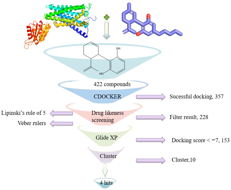 Virtual filtering process in this study.