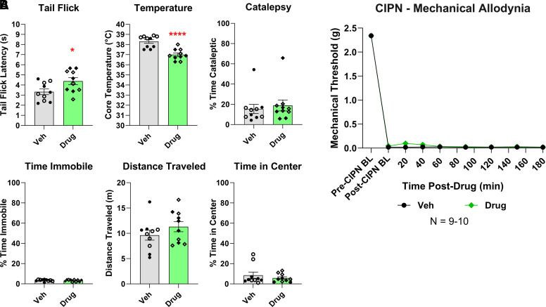 Cannabigerol induced hypothermia and relieved acute thermal pain but not chronic neuropathic pain. All data are shown as the mean ± S.E.M. Data for female and male mice was pooled, as no sex differences were observed. Mice were given CBG (green diamond) or vehicle (black circle) (100mg/kg, IP). (A) Naïve female (open symbols) and male mice (closed symbols) were injected with CBG or vehicle before undergoing the cannabimimetic behavior tetrad outlined in Methods. The data were analyzed via an unpaired, two-tailed Student’s t-test. *P < 0.05, ****P < 0.0001. N = 10 mice/group. (B) The mice had CIPN induced as outlined in Methods. N = 9–10 mice/group. Data were analyzed via two-way ANOVA with Sidak’s post hoc test; we observed no significant differences between CBG and control groups (P > 0.05). BL, baseline.
