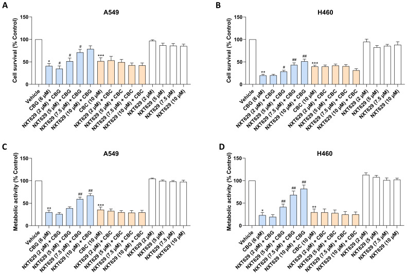 Influence of the PPARα antagonist NXT629 on the decrease in cell survival (A,B) and metabolic activity (C,D) mediated by CBG or CBC in A549 and H460 cells. Cells were pre-treated with NXT629 at the indicated concentrations or its vehicle for 1 h, followed by a 24 h co-incubation with CBG (6 µM) or CBC (10 µM) or its vehicle. Data represent the mean ± SEM of 8 biological replicates, each performed in technical triplicate. * p ≤ 0.05, ** p ≤ 0.01, *** p ≤ 0.001 vs. corresponding vehicle control; # p ≤ 0.05, ## p ≤ 0.01 vs. corresponding CBG- or CBC-treated group; statistical analyses were performed on blank-corrected absorbance data using RM one-way ANOVA with Bonferroni’s post hoc test (pre-specified comparisons).