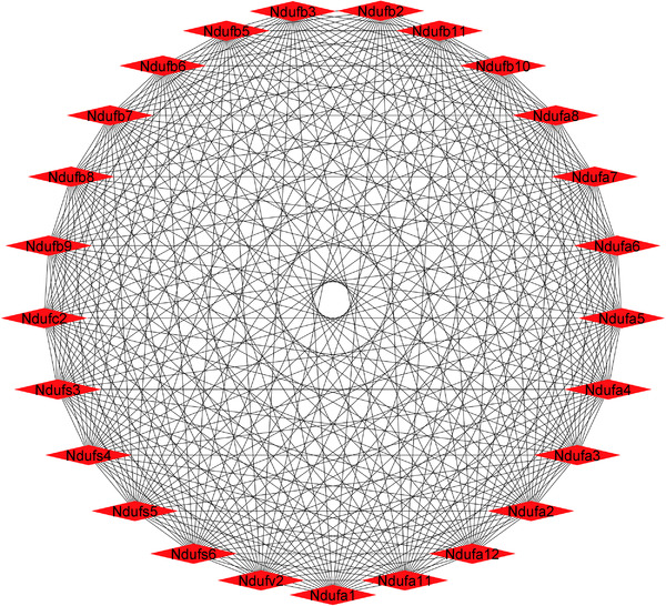 Top ranked hub genes based on the Maximal Clique Centrality (MCC) algorithm in cytoHubba plugin of Cytoscape