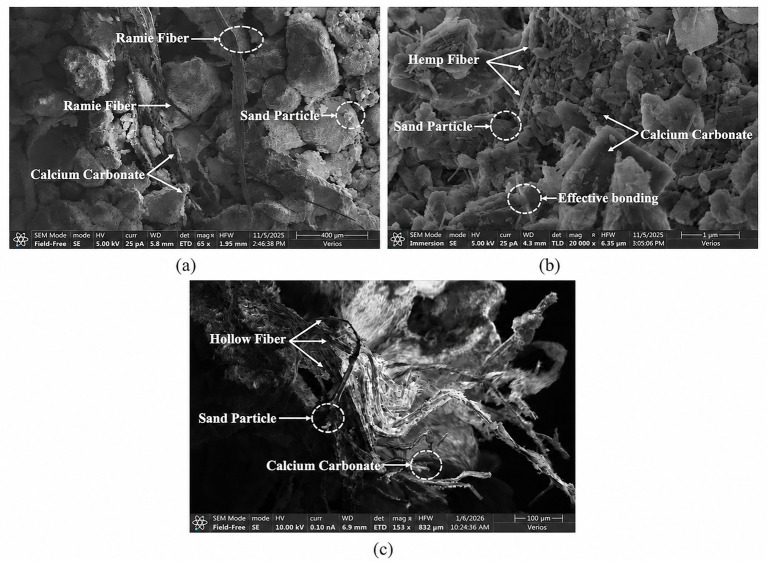 Scanning electron microscope images labeled (a) show ramie fiber, calcium carbonate, and sand particles within a composite material, image (b) shows hemp fiber, calcium carbonate, and sand particles, while image (c) highlights hollow fiber, sand particle, and calcium carbonate distribution at higher magnification.