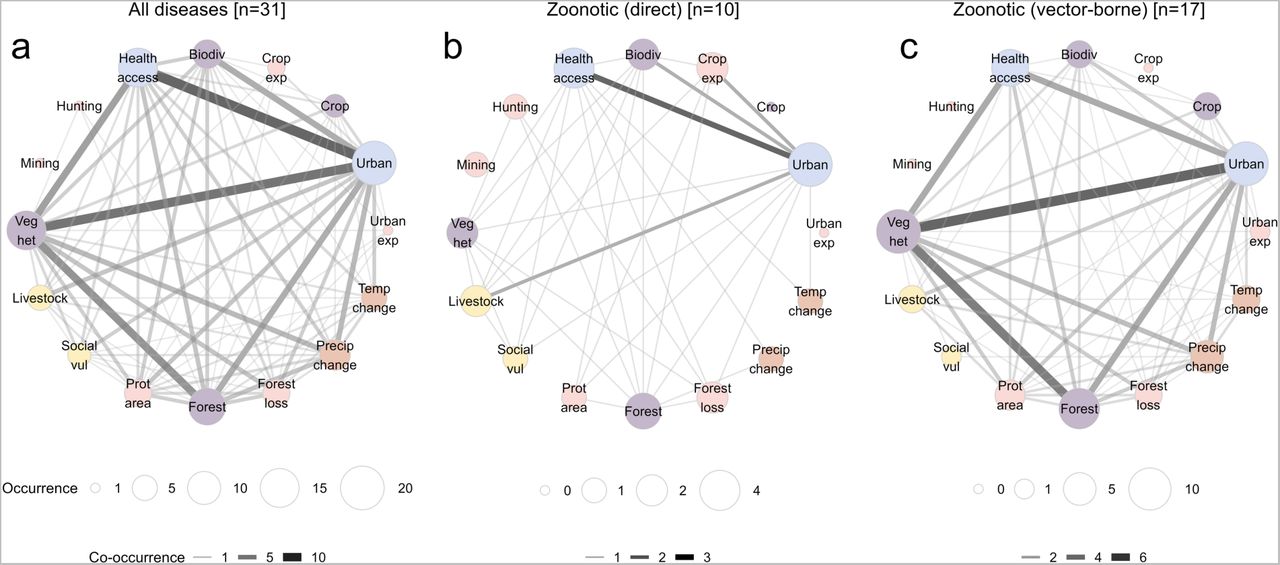 Co-occurrence of outbreak drivers across emerging infectious disease groups.The patterns of co-occurring drivers across individually-modeled diseases are represented as unipartite networks, for all diseases (n = 31; A) and for subsets of zoonotic diseases whose predominant mode of transmission to humans is either direct (B; n = 10) or vector-borne (C; n = 17). Nodes represent drivers, with node size proportional to the number of diseases with strong evidence of a non-zero effect (“driver occurrence”), and edge weight is proportional to the number of diseases for which driver pairs co-occur (“driver co-occurrence”; i.e., non-zero inferred effects of both drivers in multivariable models). Node colors denote driver type, as in Figure 3. Larger nodes reflect more prevalent drivers and darker edges reflect a higher prevalence of driver co-occurrence within each group of diseases. Results are derived from multivariable models testing hypotheses under the “majority rule” criterion; the pattern of clustered drivers is the same under the stricter “top ranked” criterion (Extended Data Figure 6). The pattern of co-occurring drivers does not simply reflect observed correlation between variables, as many of these variables are weakly or uncorrelated globally (Extended Data Figure 8).