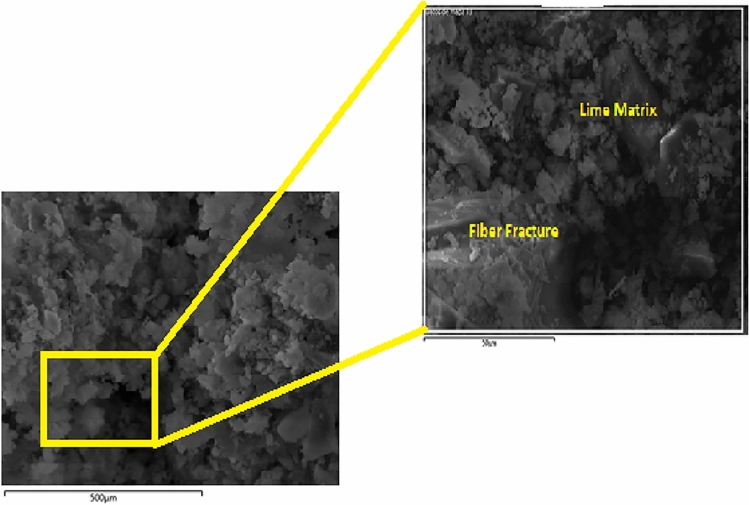 SEM image of hemp limecrete at hemp 6%.