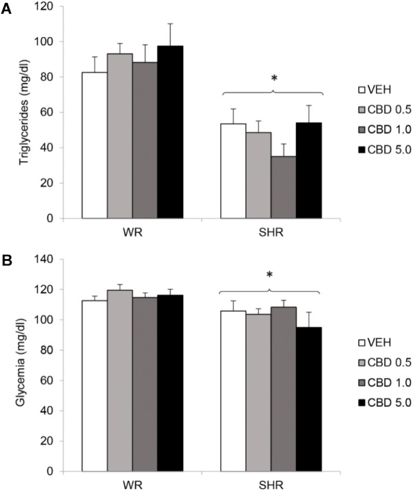 Serum levels of triglycerides (A) and glycemia (B) of adult WRs and SHRs (n = 10/group) treated with vehicle (VEH) or cannabidiol (CBD – 0.5 mg/kg, 1.0 mg/kg, or 5.0 mg/kg) during peri-adolescence (30–60 post-natal day). Glycemia and triglycerides were assessed in the end of treatment (post-natal day 61). Data reported as mean ± SEM. Two-way ANOVA. SHR, spontaneously hypertensive rats; WR, Wistar rats. ∗p < 0.05 compared to WRs of the same treatment.