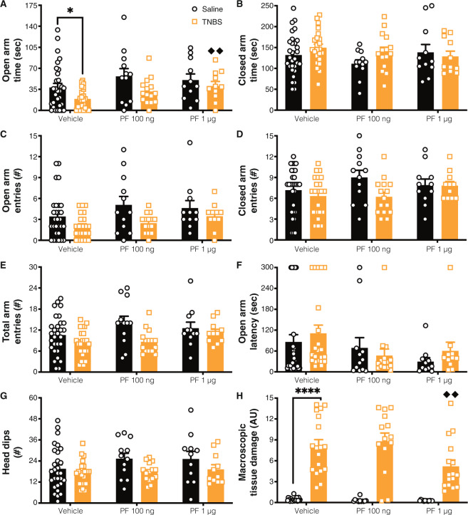 Central FAAH inhibition reversed colitis-induced anxiety-like behavior.We examined (A) time in the open arms and found main effects of colitis reducing open arm time, and PF administration increasing it. Planned comparisons revealed that there was a reduction in open arm time between the vehicle saline vs. TNBS groups. TNBS animals treated with 1 μg PF had significantly increased open arm time relative to vehicle treated animals. Colitis reduced (C) open arm entries and (G) head dips, but there was no effect of FAAH inhibition or interaction between colitis and PF on these measures. For (B) closed arm time, (D) closed arm entries, (E) total arm entries and (F) open arm latency there was not a significant effect of colitis, FAAH inhibition or interaction between PF and TNBS. H Macroscopic tissue damage was increased with colitis, but this was modulated by PF administration, specifically, with the 1 µg dose, which had reduced damage scores compared to the TNBS vehicle group. n = 12–24/group. *p < 0.05, ****p < 0.0001. saline vs. TNBS within same treatment, ♦♦ p < 0.01 vs. vehicle of same condition. Saline = left, black bars with circles. TNBS = right, orange bars with squares.