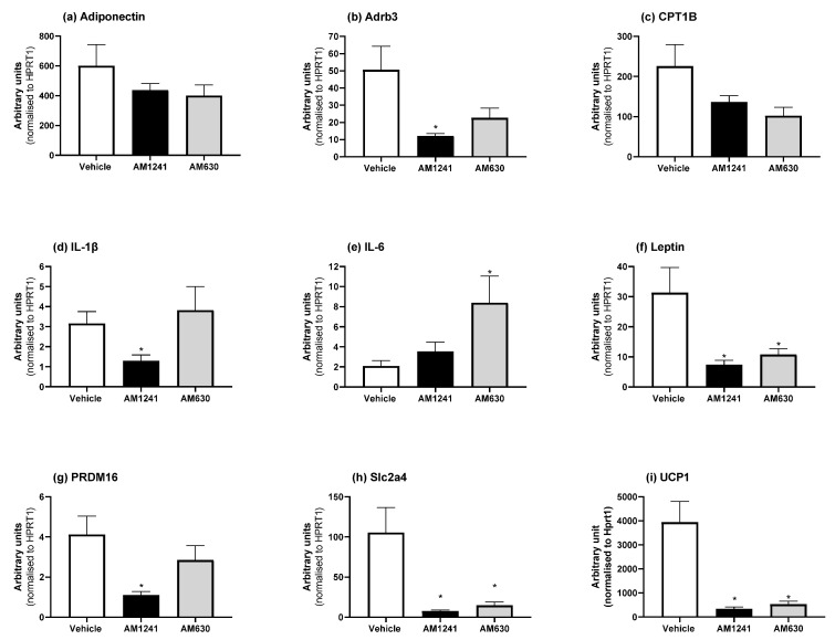 Effect of AM1241 or AM630 treatment in DIO rats on BAT mRNA expression. DIO rats were injected daily with either AM1241 (3 mg/kg of body weight, ip), AM630 (0.3 mg/kg of body weight, ip), or vehicle for six weeks. All results are presented as a mean ± SEM in arbitrary units (normalized to housekeeping gene HPRT1) from n = 7–9 (AM1241)-, n = 7–9 (AM630)-, and n = 7–9 (vehicle)-treated rats on an HFD (exception n = 6 for IL-1β for AM1241 and AM630). Significance * p < 0.05 compared to vehicle.