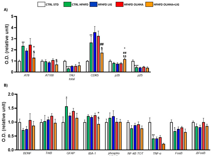 Expression in prefrontal cortex of proteins partaking to (A) tau phosphorilation and (B) neurogenesis, neuroinflammation, and addiction. Data are expressed as mean ± SEM and analyzed by two-way ANOVA (variables: diet, treatment). * p < 0.05, ** p < 0.01, *** p < 0.001 vs. CTRL STD; ° p < 0.05 vs. CTRL HFHFD; ## p < 0.01 vs. HFHFD LIG; $ p < 0.05, $$ p < 0.01 vs. HFHFD OLHHA.