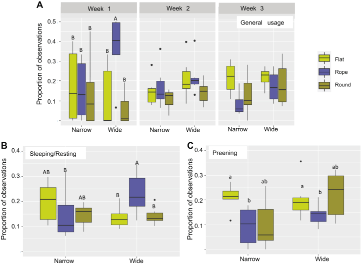 The boxplots show the average proportion of observations on the different types of perches (narrow or wide forms of the flat, rope or round perch shapes) (A) for birds observed on a perch irrespective of their behavior, but divided based on whether they were 1, 2, or 3 wk of age, (B) for birds observed sleeping or resting on a perch, and (C) for birds observed preening on a perch. A,B Different capital letters indicate significant (P ≤ 0.05) differences between perch types (both width and shape). a,b Different lower case letters indicate significant (P ≤ 0.05) general differences between perch shapes. Multiple pairwise comparisons have been controlled for using Tukey's method.