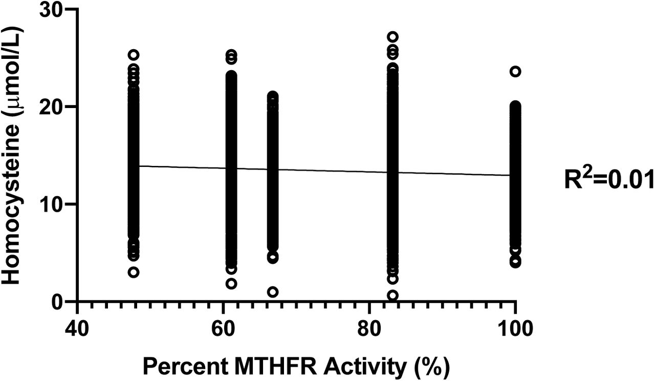 Linear regression of MTHFR activity versus homocysteine for the most common genotypes.Linear regression of 1,000 synthetic homocysteine datapoints per combination of common rs1801131 (A1298C) and rs1801133 (C677T) SNPs by in vitro MTHFR activity, excluding 1298AA/677TT. There was a significant association between MTHFR function and homocysteine (p<0.001, R2=0.01), suggesting that only around 1% of the variability in homocysteine is determined by MTHFR activity across these genotypes.