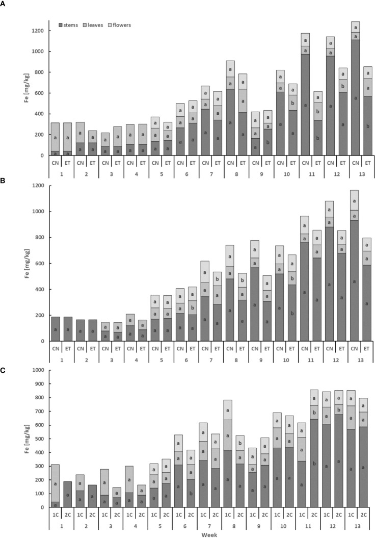 Iron concentrations in the dry weight among the organs of indoor-cultivated cannabis plants as affected by the augmented nutritional regime in recirculation and drain-to-waste nutrient cycles. Fe concentration of control (CN) and enhanced treatment (ET) under the augmented nutritional regime in recirculation (1C) growing cycle (A), in drain-to-waste (2C) growing cycle (B), ETs in 1C and 2C (C) in stems, leaves, and flowers. Data are means (n = 3). The small letters inside the bars represent significant differences within the plant organs (stems, leaves, and flowers) between the variants in a particular week, according to Tukey’s HSD test at α = 0.05.