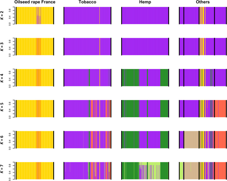 Results of a discriminant analysis of principal components (DAPC) conducted on microsatellite data considering from K = 2 to K = 7 genetic clusters. Each genotyped individual is represented by a vertical bar colored according to its membership coefficient for each of the K clusters. For each value of K, individuals are grouped according to the host crop from which they were sampled (indicated at the top of the barplots). The group indicated as “Others” includes the following host crops, from left to right: celery, lentil, oilseed rape from Greece and tomato.