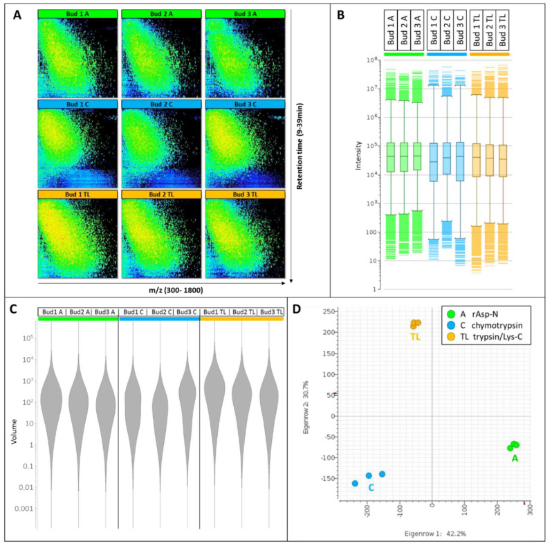 LC-MS pattern and statistical results. (A) 2-D nLC-MS maps along m/z 300–1800 on the X-axis and 9–39 min retention time on the Y-axis. (B) Box plots of cluster intensities. (C) Violin plots of cluster volumes. (D) Principal component analysis (PCA) plots of PC1xPC2 of the nine samples. Buds 1–3 are the biological triplicates. Proteases A, rAsp-N; protease C, chymotrypsin; protease TL, trypsin/Lys-C.
