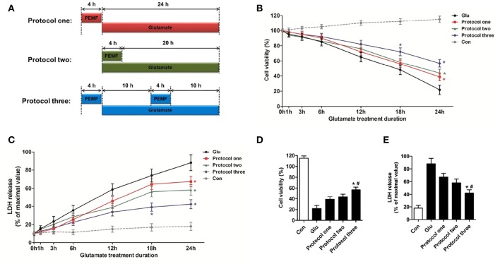 Neuroprotective effects of PEMF against glutamate-induced excitotoxicity. HT22 cells were treated with different PEMF and glutamate protocols as shown in (A). Cell viability was measured by WST assay (B) and neurotoxicity was measured by LDH assay (C). The data represent mean ± standard error from eight experiments. F-value (B) = 10.38, F-value (C) = 5.908, *P < 0.05 vs. the glutamate (Glu) group. After glutamate treatment for 24 h, cell viability (D) and LDH release (E) were compared between the three protocols. The data represent mean ± standard error from eight experiments. F-value (D) = 48.82, F-value (E) = 18.83, *P < 0.05 vs. protocol 1 group, #P < 0.05 vs. protocol two group.