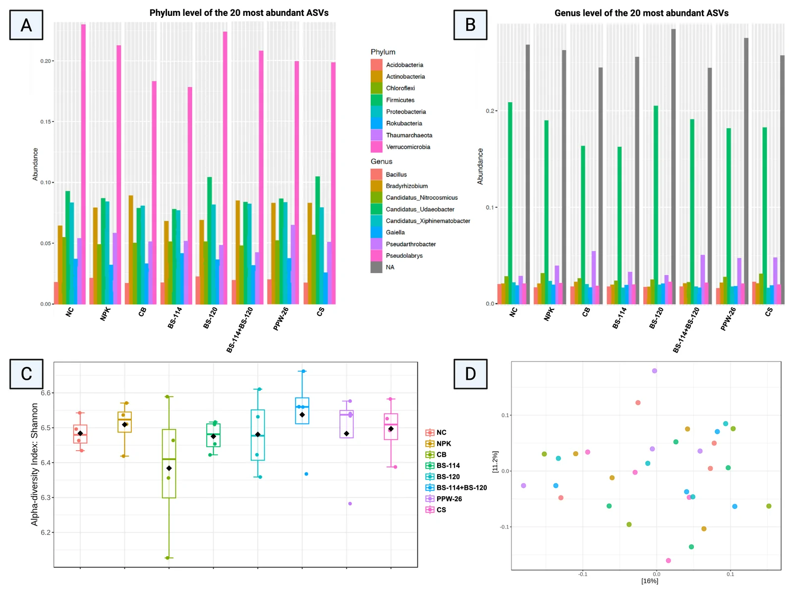 Panel A shows a bar chart of phylum-level abundance for the 20 most abundant ASVs across various treatment groups, with a detailed legend identifying phyla. Panel B presents a matching bar chart at genus level with a legend for genus names. Panel C displays Shannon alpha-diversity index values as boxplots for each treatment group, and panel D is a scatterplot visualizing sample distribution along two axes using color-coded points representing different treatments.