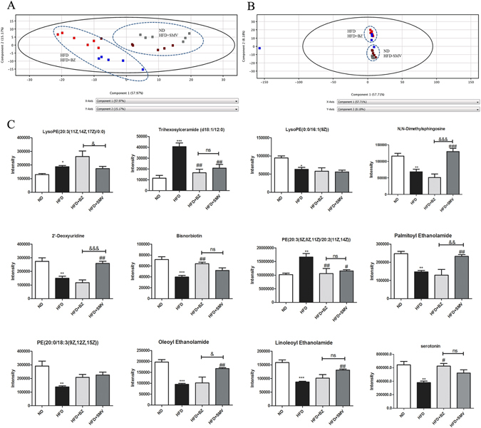 The effect of high fat diet and drug intervention (BZ & SMV) on the serum profiling in mice. The score plot of PCA analysis for serum samples from [HFD (▪), ND (▪), HFD + BZ (▪), HFD + SMV (▪)] groups in ESI positive mode (A) and negative mode (B). Emotional-related differential compounds (C). *P < 0.05; **P < 0.01; ***P < 0.001 vs. control group. # P < 0.05; ## P < 0.05 ; ### P<0.001 vs. HFD group. & P < 0.05, && P < 0.01 between BZ group and SMV group.