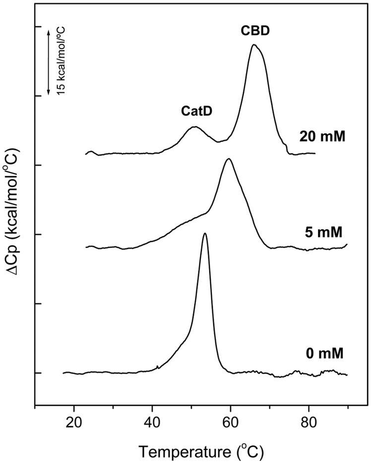 Thermal denaturation curves of PL3. DSC profiles of PL3 were measured in the absence and in the presence of choline at ligand concentrations specified in figure labels. Experiments were performed at 0.4 mg/ml PL3 in PB, pH 6.8 (scan rate 60°C/h). The curves were shifted along the y-axis for clarity. CatD and CBD indicate the transitions corresponding to the catalytic domain and the cell wall-binding domain, respectively.