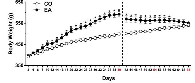 Body weight measured throughout the experimental period. After 8 days, CAF diet significantly increased body weight in EA rats (black spot) if compared to CO rats (white spot) until day 40 (*P < 0.05). During the abstinence period (days 41–68), when only standard chow was available, a progressive and significant decrease in body weight in EA rats was observed. Data are shown as means ± SEM for the CO and EA groups (n = 6).
