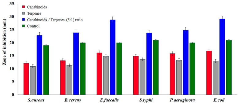 Synergistic antimicrobial activity of cannabinoids:terpenes (5:1 ratio).