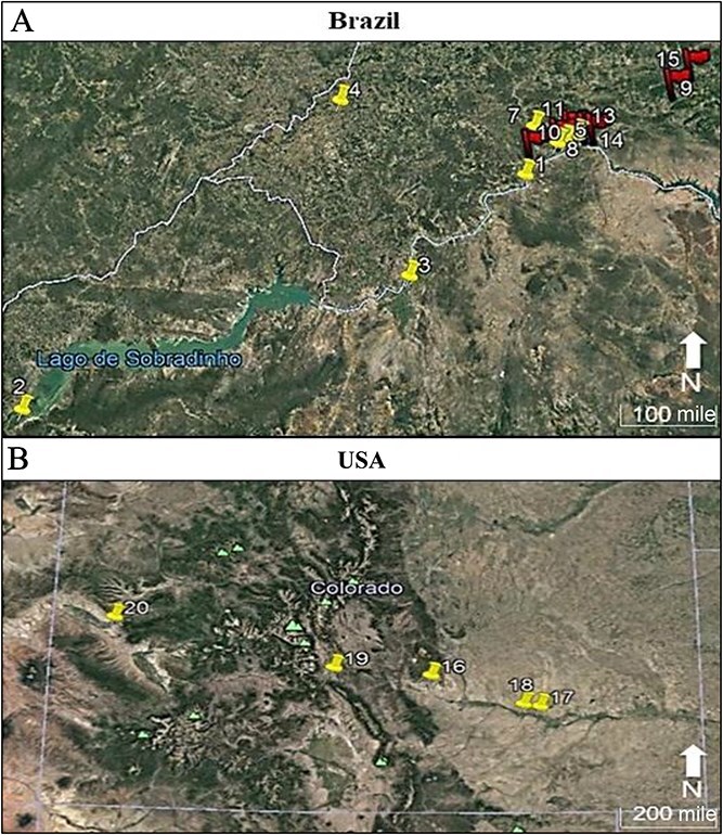 Sampling points in Brazil (A) and in Colorado (B). The red-flagged Brazilian sampling points mark the 2017 seizure operation locations, whereas the yellow sampling points represent the 2014 operation locations. The Brazilian sampling points number 6 and 12 do not appear in this Figure for they were visually overlapped by the majority of sampling point. mi: mile.