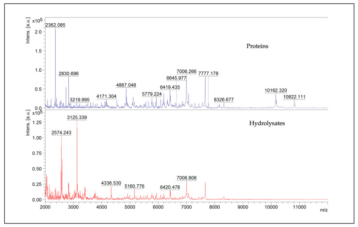 Representative MALDI-TOF MS mass spectra in the m/z region 2000–20,000 of proteins and hydrolysates; in particular, the image represents a zoom between 2000 and 12,000 m/z.