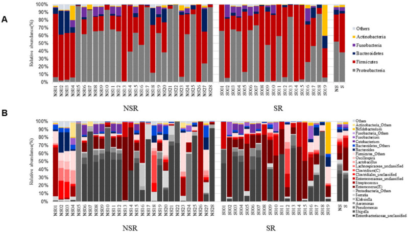 Microbiome compositions at the major phylum and genus levels. (A) Phylum level. (B) Genus level.