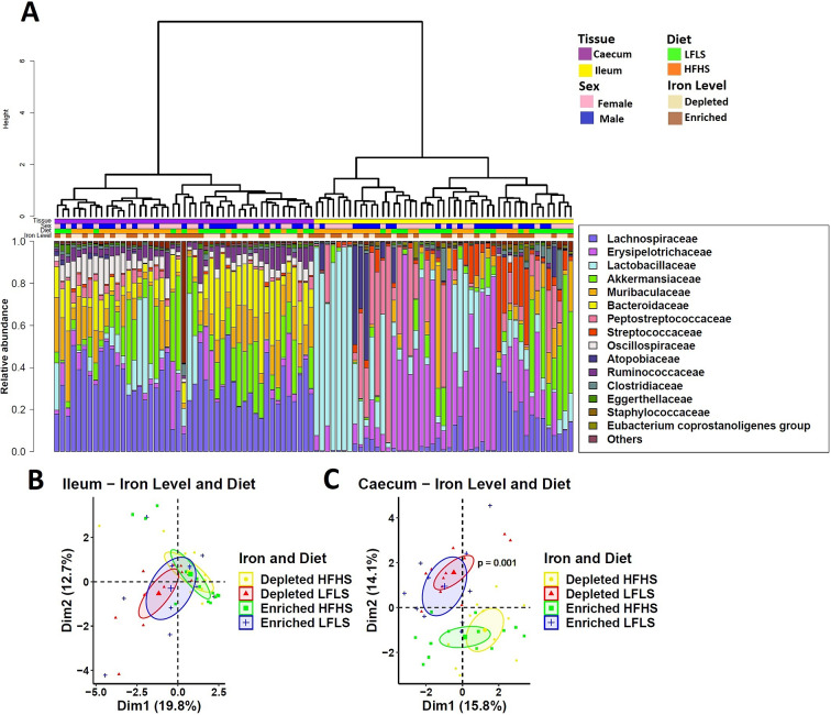 Intestinal microbiota composition in response to Fe-enriched and Fe-depleted LFLS or HFHS diets. (A) Relative bacterial abundance at the family level in response to Fe-enriched and Fe-depleted LFLS or HFHS diets in ileum and caecum. Families representing less than 1% of total bacterial abundance were aggregated. Dendrogram showing hierarchical clustering based on Canberra distance between samples determines the sample order. The corresponding annotations for tissue, sex, diet, and Fe level are displayed. Principal component analysis shows the impact of Fe-depleted/enriched and LFLS/HFHS diets on gut microbiota composition in the (B) ileum, and (C) caecum. PERMANOVA indicates the significance of microbiota composition between the dietary conditions. The samples were analysed at day 28 of the study.
