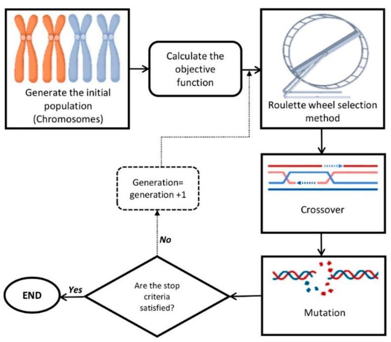 A schematic representation of genetic algorithm (GA).