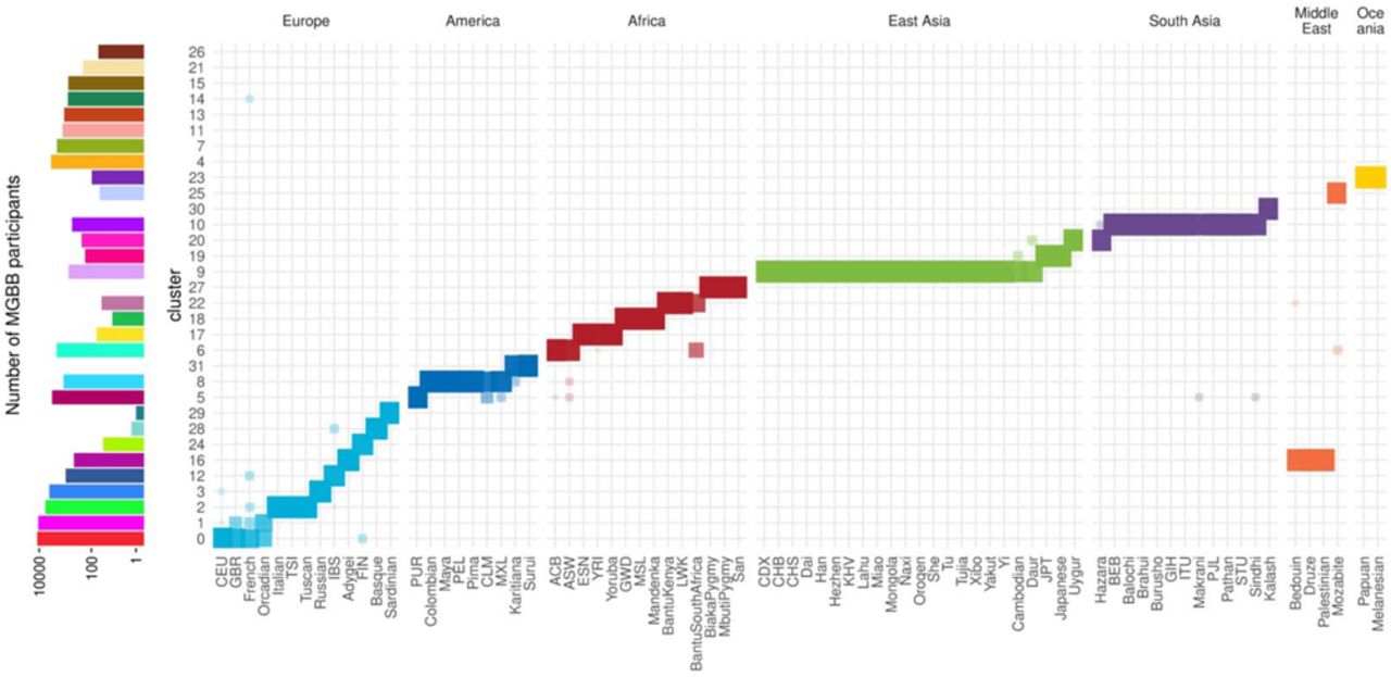 Enrichment of the reference groups in the genetic clusters inferred in MGBBThe horizontal axis shows reference populations from 1000 Genomes Project and Human Genome Diversity Project. The vertical axis shows genetic clusters inferred from MGBB. In the left panel, the heights of bars show the number of MGBB participants included in the genetic clusters. In the right panel, the size and transparency of rectangle shows intersection size between reference population and genetic clusters. The number of individuals in the clusters and the color legend are found in Supplemental Table 2. Abbreviations for reference populations will be find in Supplemental Table 7. MGBB, Mass General Brigham Biobank.