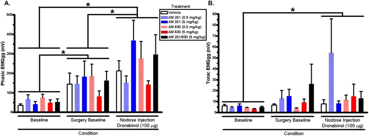 Phasic (A) and tonic (B) genioglossus electromyogram amplitude (mV) quantified from acute 5-HT-induced apnea experiments.There was a significant (p<0.05, two-way repeated measures ANOVA) main effect of condition on phasic and tonic genioglossus activity; *p<0.05, Tukey’s post hoc multiple comparison test. EMGgg = genioglossus electromyogram.