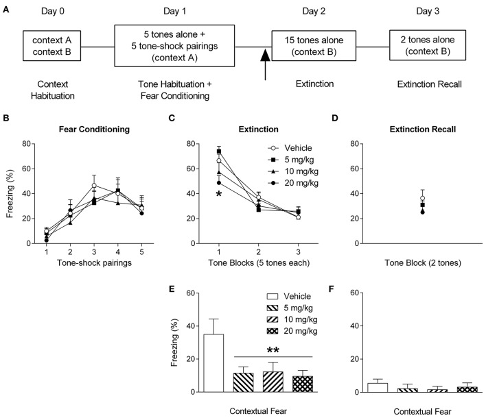 Cannabidiol reduces the expression of auditory and contextual fear memory in rats. (A) Schematic representation of the experimental procedures used; the arrow indicates that drug was injected 30 min before extinction. (B) Freezing during tone-shock pairings did not differ between the groups during auditory fear conditioning. (C) Rats treated with 20 mg/kg of cannabidiol showed significantly decreased freezing during tone presentations at the start of extinction, compared to rats given 5 mg/kg or vehicle (*P <0.05). (D) There were no differences in tone-induced freezing between the groups during extinction recall. (E) Rats treated with 5, 10, or 20 mg/kg of cannabidiol showed significantly decreased freezing in the 2 min period before tone presentations during extinction, compared to vehicle-treated controls (**P <0.01). (F) There were no differences in freezing between the groups in the 2 min period before tone presentations during extinction recall (see Supplementary Material for more details).