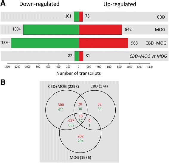 Number of gene transcripts affected in MOG35-55-stimulated TMOG cells in the presence or absence of CBD. mRNA prepared from TMOG cells co-cultured with APC and stimulated with MOG35-55 in the presence or absence of CBD was subjected to microarray analysis as described in Methods. a Number of differentially expressed transcripts that were either significantly upregulated (red) or downregulated (green) across the different treatment conditions vs control untreated cells (p < 0.005). b Venn’s diagram illustrating the number of transcripts affected (up- and downregulation) by CBD, MOG35-55, or CBD+MOG35-55 treatments (p < 0.005) and their overlap