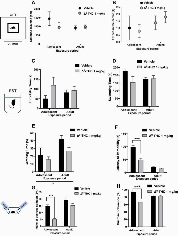 Locomotor activity was assessed in the open field test (OFT) followed by the assessment of depressive behavior in the modified forced swim test (FST) and the sucrose preference test (SPT) after chronic administration of D9-tetrahydrocannabinol (THC; 1.0 mg/kg, i.p.) during adolescence or adulthood. THC did not modify the distance travelled (A) or the number of visits in the central area in the OFT (B). Chronic adolescent THC administration did not produce any changes in immobility time (C), swimming time (D) or climbing time (E) but significantly decreased the latency to the first event of immobility (F). Anhedonic behavior was assessed in the SPT. THC markedly decreased the intake of sucrose solution (2%) (G) and sucrose preference (H) after adolescent but not adult exposure. Two-way ANOVA followed by Tukeys’ post-hoc comparison was employed. ***P < .001. Each bar or circle represents mean ± SEM. N = 7–10 rats per group.