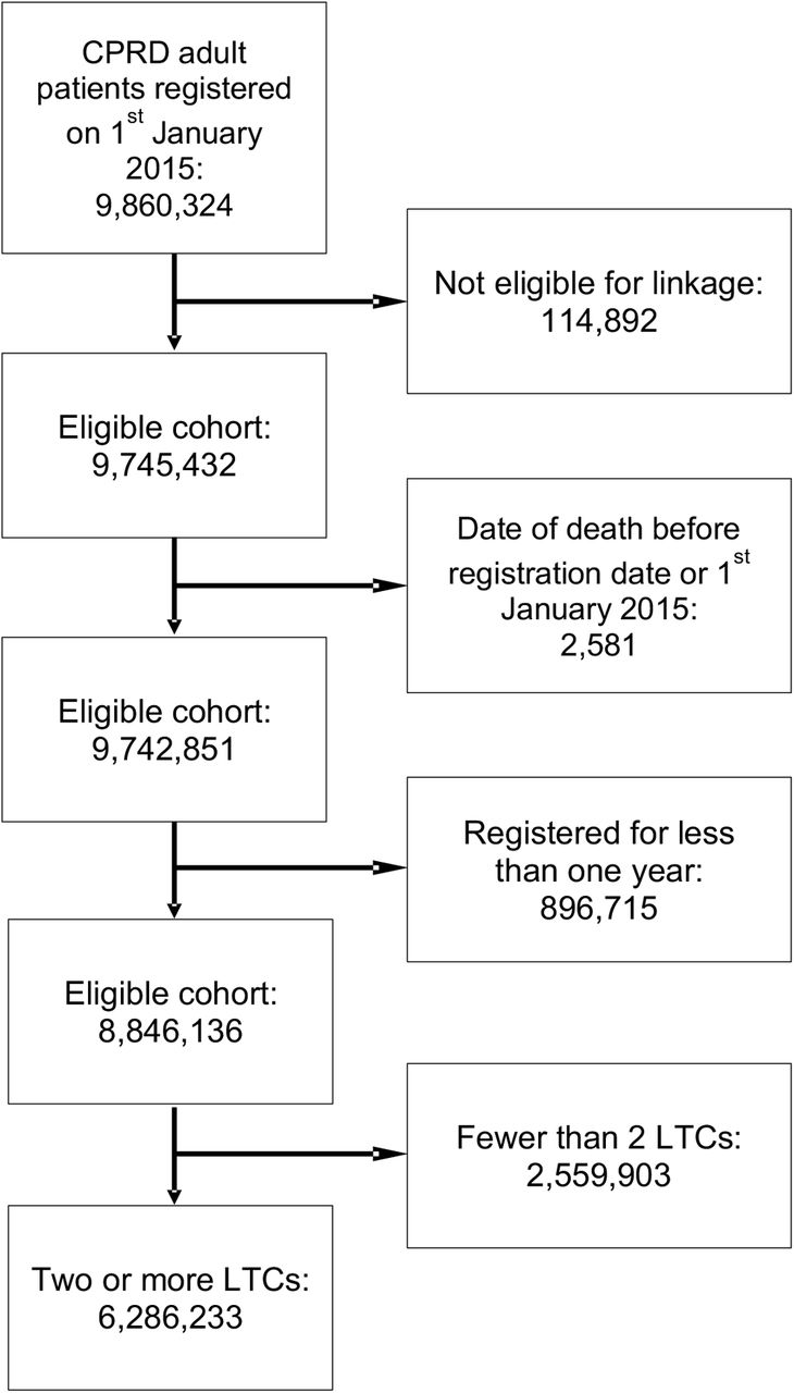 Flow chart of patients included in the study for generating embeddings