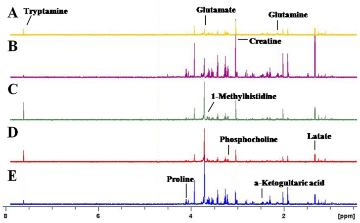 600 MHz CPMG 1HNMR spectra of the NAc from mice.(A) control; (B) 2 mg/kg cocaine; (C) 20 mg/kg cocaine; (D) nicotine; (E) nicotine +2 mg/kg cocaine.