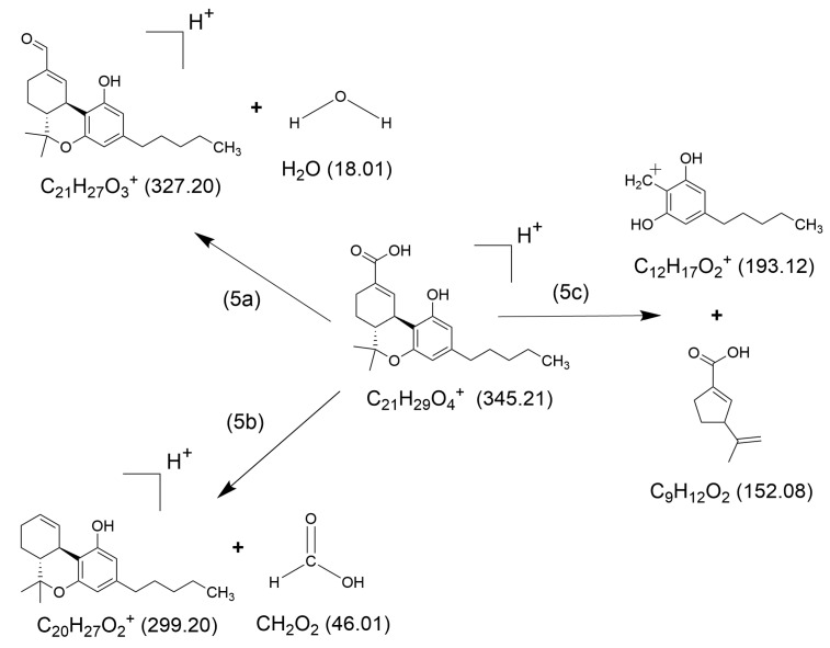 Suggested structures of the major ionic fragments and their neutral counter-fragments (5a)–(5c) observed in HCD experiment of [THCOOH + H]+. (Exact masses are given in parentheses).